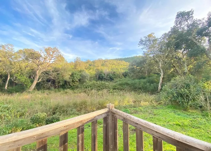 Les Pavillons Du Golfe Favone