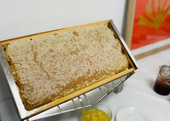 Les Pavillons Du Golfe Feriepark 2*